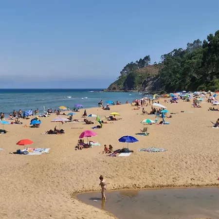 公寓 Valle Del Nalon Sotrondio San Martin del Rey Aurelio